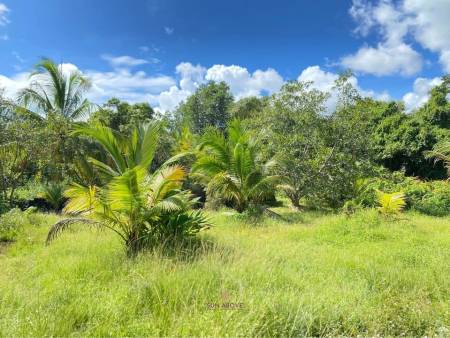 30,400 SQ.M Land for Sale on Coconut Island