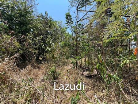 14 Rai Land Plot On The Main Road Close To Town