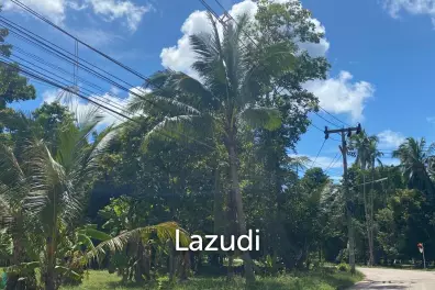 Prime 2,059 sqm Land in Central Koh Phangan: Your Ideal Secondary Residence or Development Opportunity