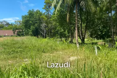 Prime 2,059 sqm Land in Central Koh Phangan: Your Ideal Secondary Residence or Development Opportunity