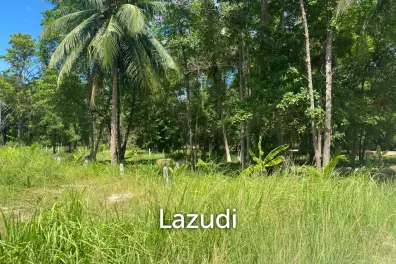 Prime 2,059 sqm Land in Central Koh Phangan: Your Ideal Secondary Residence or Development Opportunity