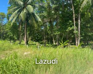 Prime 2,059 sqm Land in Central Koh Phangan: Your Ideal Secondary Residence or Development Opportunity