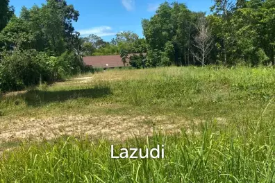 Prime 2,059 sqm Land in Central Koh Phangan: Your Ideal Secondary Residence or Development Opportunity