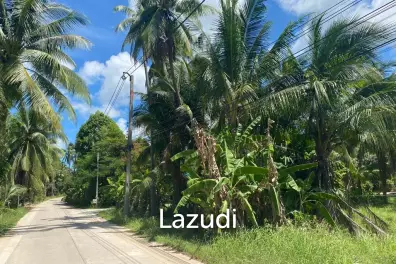 Prime 2,059 sqm Land in Central Koh Phangan: Your Ideal Secondary Residence or Development Opportunity