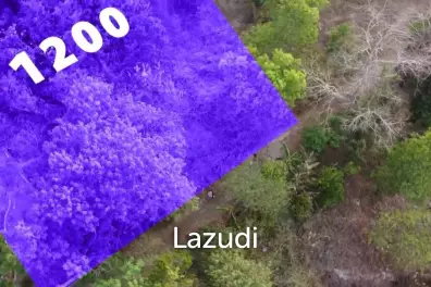 1200 SQM Land Plot with Sea View in Maenam Soi 2