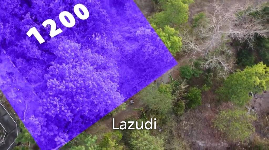 1200 SQM Land Plot with Sea View in Maenam Soi 2