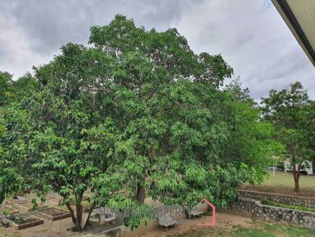 Stand Alone 5 Bedroom Villa On A Large Land Plot