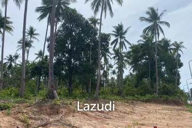 Land 1,000 SQ.M front road
