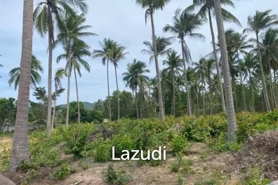 Land 1,000 SQ.M front road