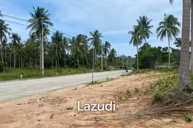 Land 1,000 SQ.M front road
