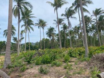 Prime 1408 sqm Plots in New Development: Main Road Access, Concrete Roads, and On-Site Hospital