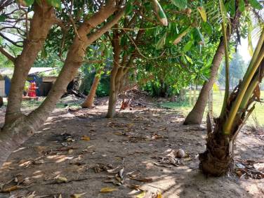 Beachfront Land in Khok Kloi, Takua Thung, for Sale