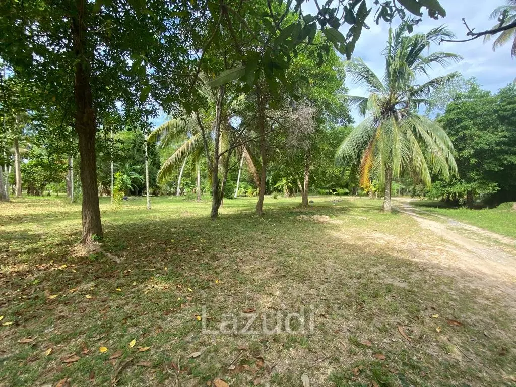 400sqm Leasehold Land - 23 Years of Tropical Opportunity in Prime Madewan, Koh Phangan