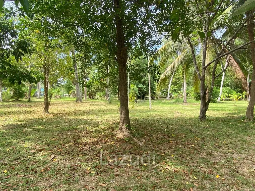 400sqm Leasehold Land - 23 Years of Tropical Opportunity in Prime Madewan, Koh Phangan