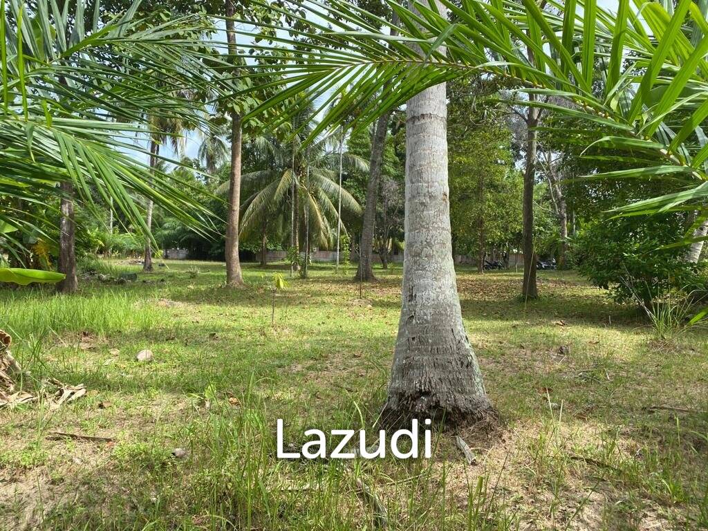 400sqm Leasehold Land - 23 Years of Tropical Opportunity in Prime Madewan, Koh Phangan