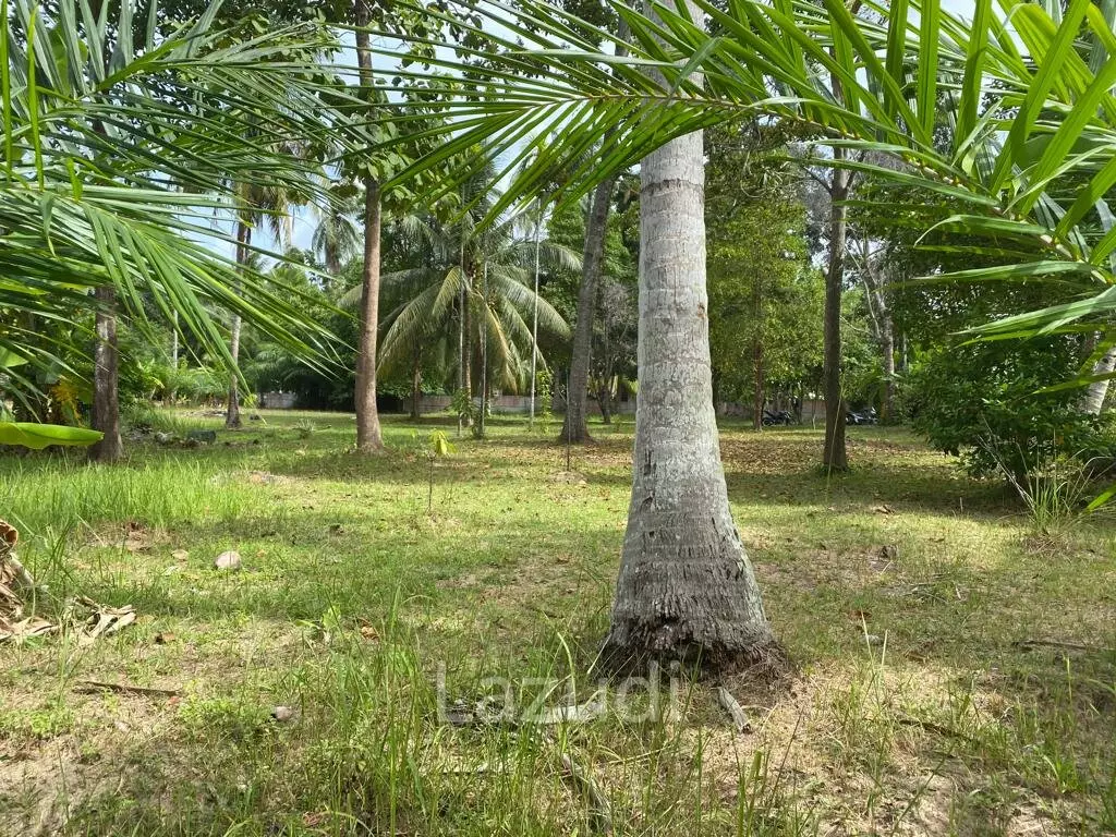 400sqm Leasehold Land - 23 Years of Tropical Opportunity in Prime Madewan, Koh Phangan