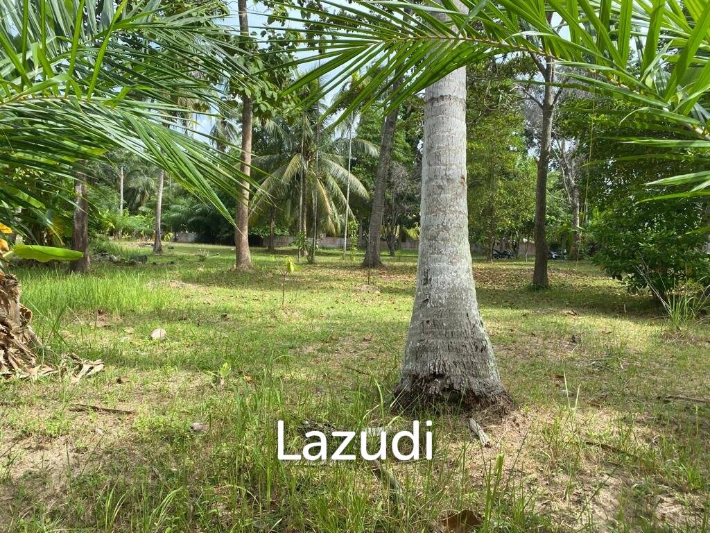 400sqm Leasehold Land - 23 Years of Tropical Opportunity in Prime Madewan, Koh Phangan