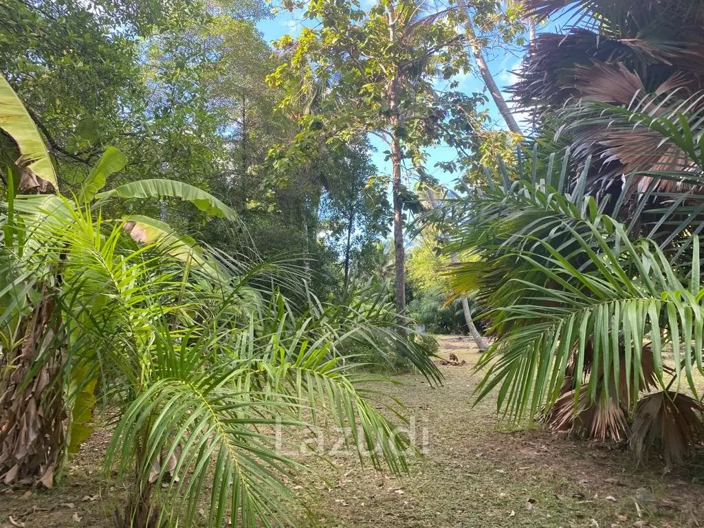 400sqm Leasehold Land - 23 Years of Tropical Opportunity in Prime Madewan, Koh Phangan