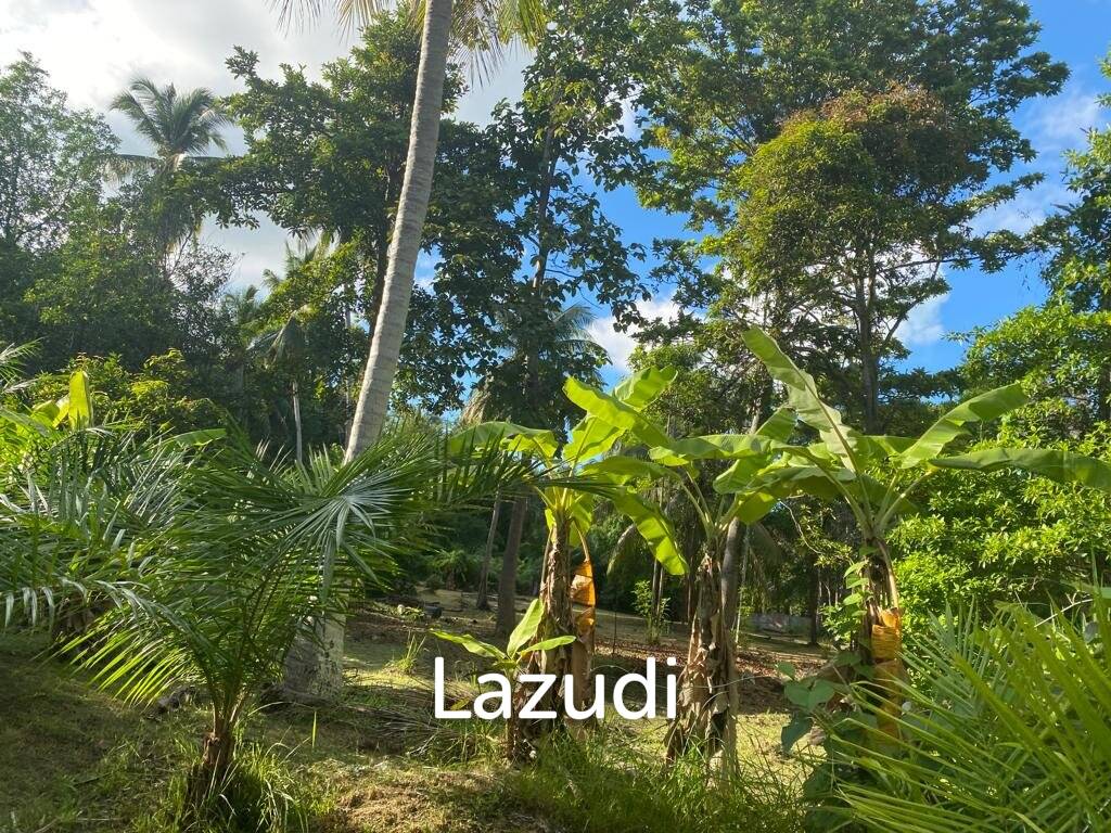 400sqm Leasehold Land - 23 Years of Tropical Opportunity in Prime Madewan, Koh Phangan