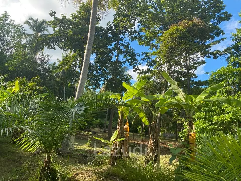 400sqm Leasehold Land - 23 Years of Tropical Opportunity in Prime Madewan, Koh Phangan