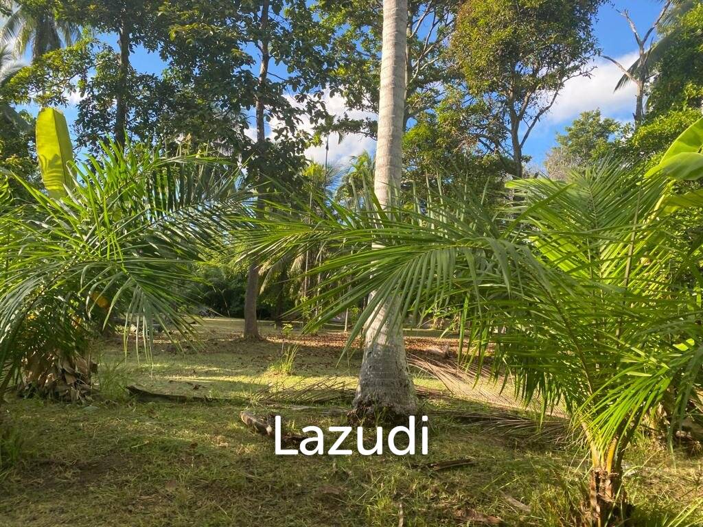 400sqm Leasehold Land - 23 Years of Tropical Opportunity in Prime Madewan, Koh Phangan