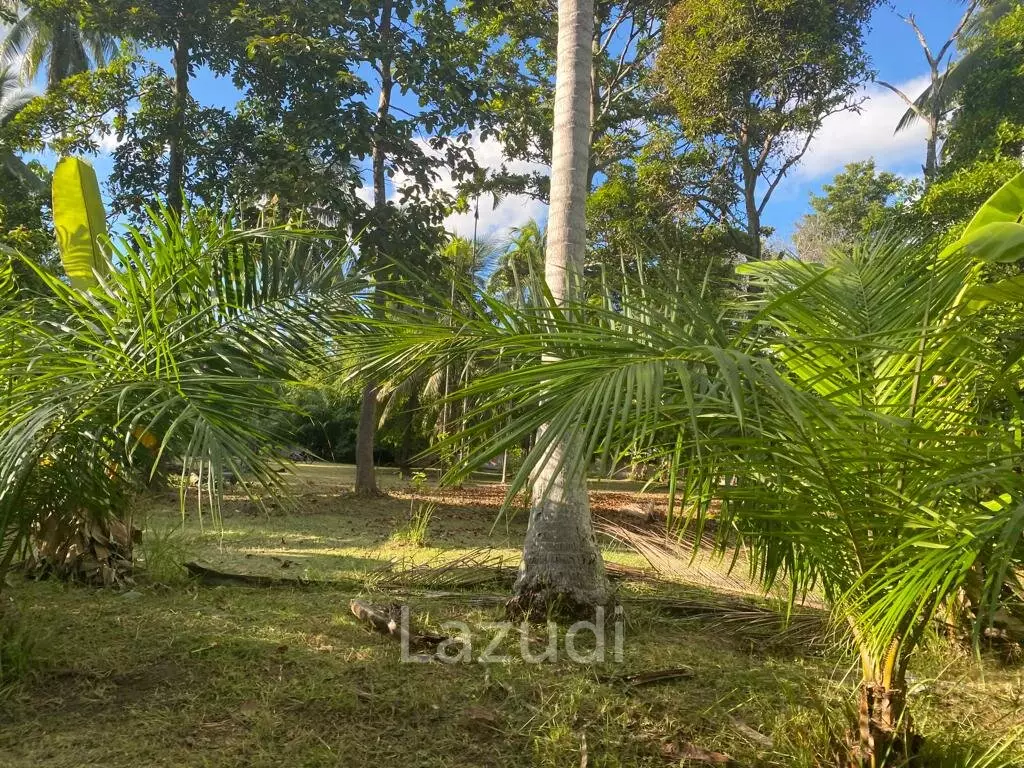 400sqm Leasehold Land - 23 Years of Tropical Opportunity in Prime Madewan, Koh Phangan