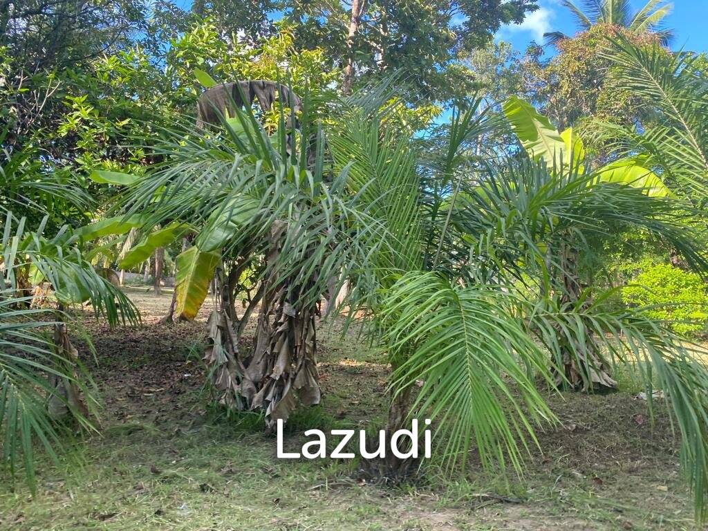 400sqm Leasehold Land - 23 Years of Tropical Opportunity in Prime Madewan, Koh Phangan