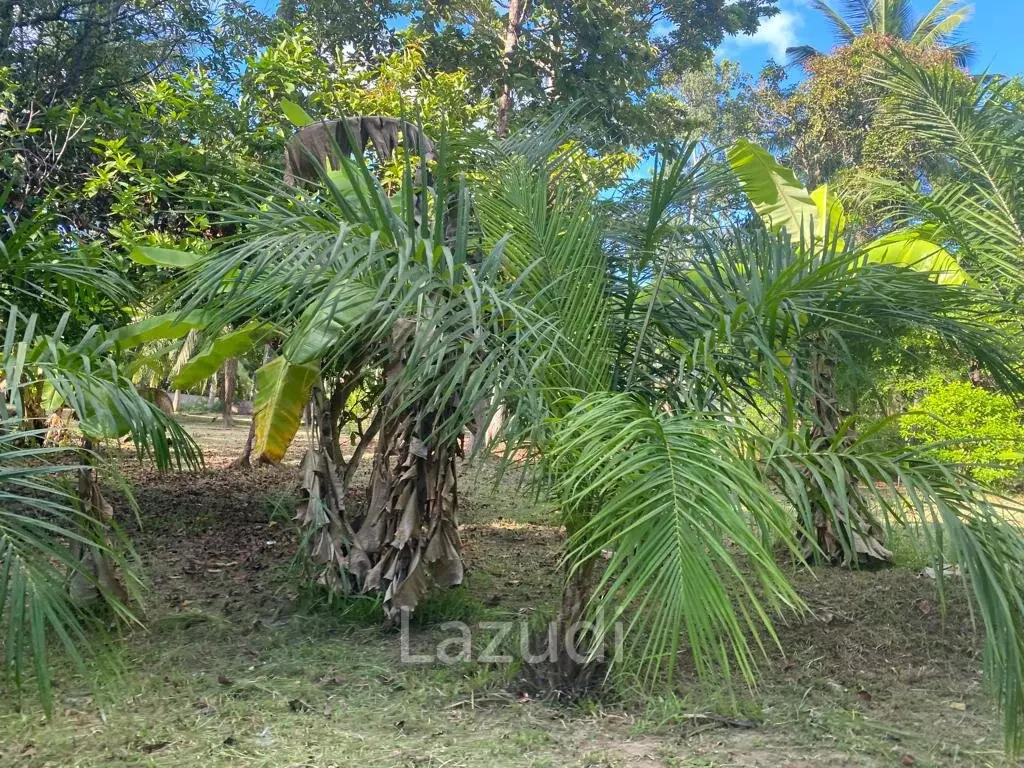 400sqm Leasehold Land - 23 Years of Tropical Opportunity in Prime Madewan, Koh Phangan