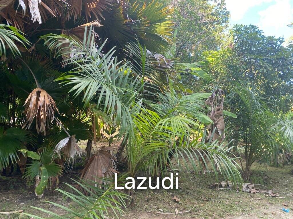 400sqm Leasehold Land - 23 Years of Tropical Opportunity in Prime Madewan, Koh Phangan