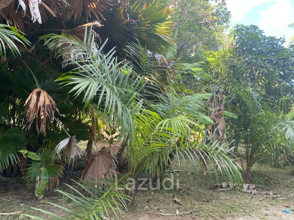 400sqm Leasehold Land - 23 Years of Tropical Opportunity in Prime Madewan, Koh Phangan