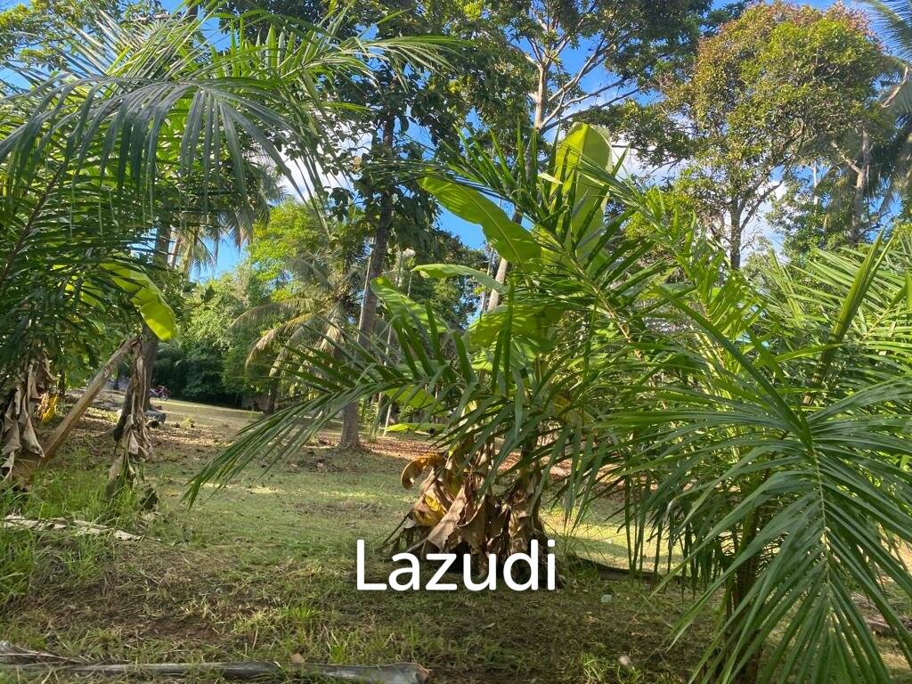 400sqm Leasehold Land - 23 Years of Tropical Opportunity in Prime Madewan, Koh Phangan