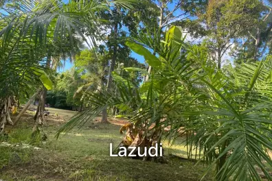 400sqm Leasehold Land - 23 Years of Tropical Opportunity in Prime Madewan, Koh Phangan