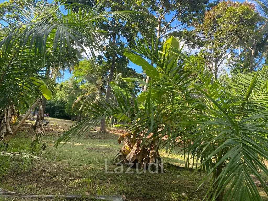 400sqm Leasehold Land - 23 Years of Tropical Opportunity in Prime Madewan, Koh Phangan