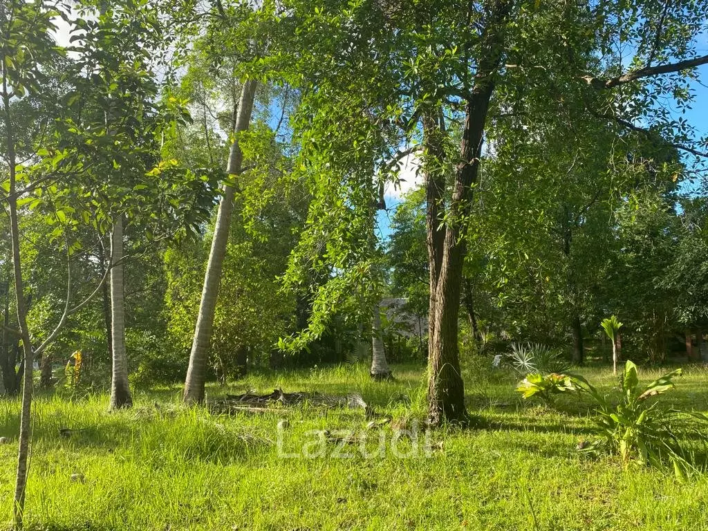 400sqm Leasehold Land - 23 Years of Tropical Opportunity in Prime Madewan, Koh Phangan