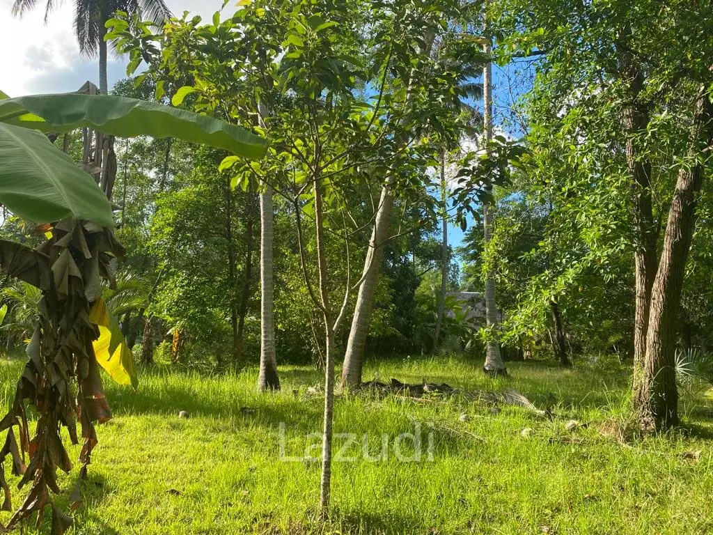 400sqm Leasehold Land - 23 Years of Tropical Opportunity in Prime Madewan, Koh Phangan
