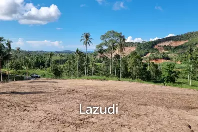 Flat Land for Sale 554 SQM in Maenam Soi 3