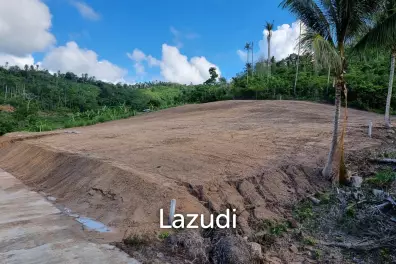 Flat Land for Sale 554 SQM in Maenam Soi 3