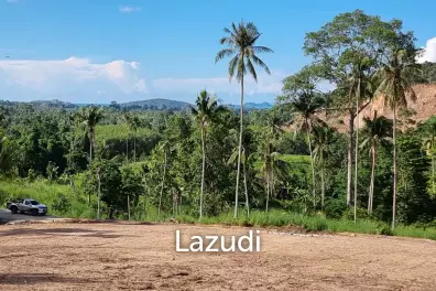Flat Land for Sale 554 SQM in Maenam Soi 3