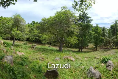 2Rai (3,200 sqm) of Pure Potential in Chaloklum, North Koh Phangan