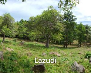 2Rai (3,200 sqm) of Pure Potential in Chaloklum, North Koh Phangan