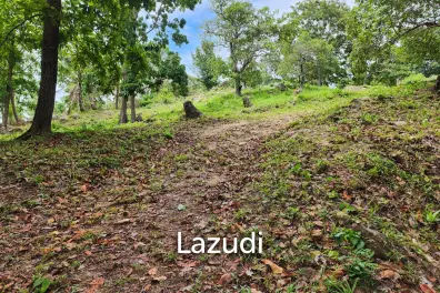 2Rai (3,200 sqm) of Pure Potential in Chaloklum, North Koh Phangan