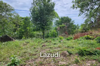 2Rai (3,200 sqm) of Pure Potential in Chaloklum, North Koh Phangan