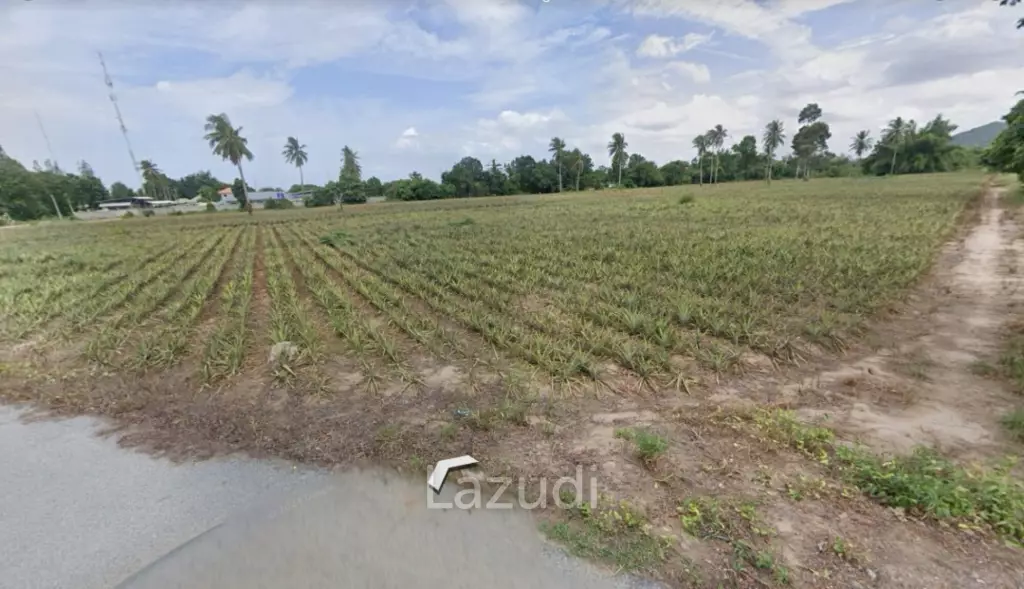 Prime Land for Sale: 19-1-97 Rai In Cha Am