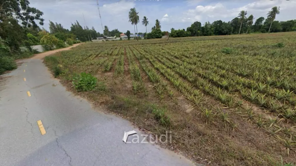 Prime Land for Sale: 19-1-97 Rai In Cha Am
