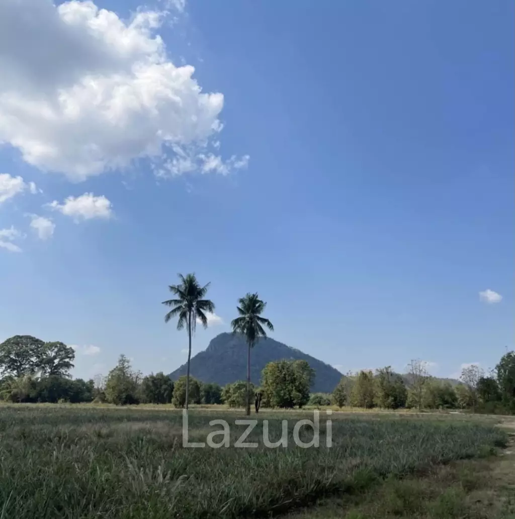 Prime Land for Sale: 19-1-97 Rai In Cha Am