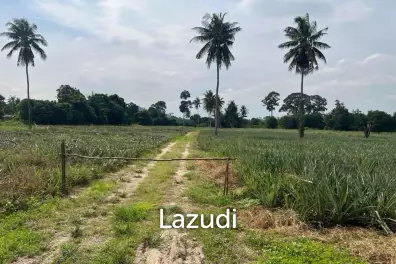 Prime Land for Sale: 19-1-97 Rai In Cha Am