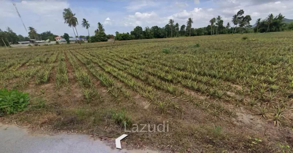 Prime Land for Sale: 19-1-97 Rai In Cha Am