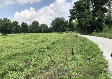 Prime Land for Sale : 19-1-97 Rai in Cha Am