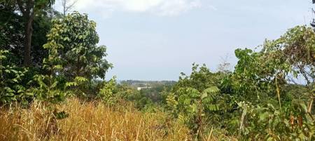 Seaview 3,200 SQ.M. Land For Sale In Layan