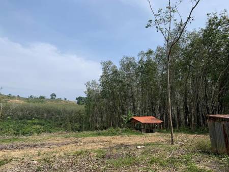 Sea View 30,880 SQ.M. Land For Sale In Ao Por, Phuket